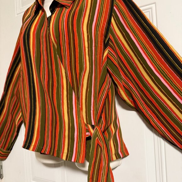 San Andre Striped Multicolor Button-Up Blouse SZ 14 Sophisticated Chic Goblincor - Picture 5 of 7